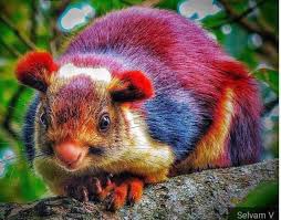 Andreas Chavez tweet media