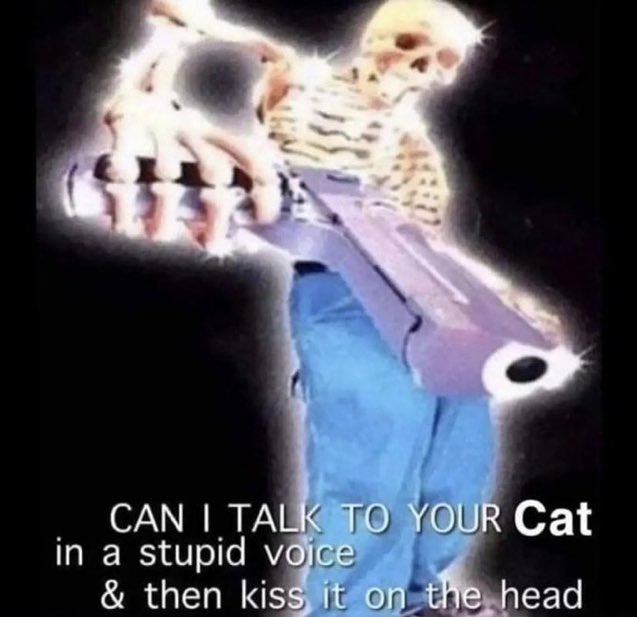 ✧ (@northstardoll) on Twitter photo 