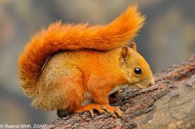 Andreas Chavez tweet media