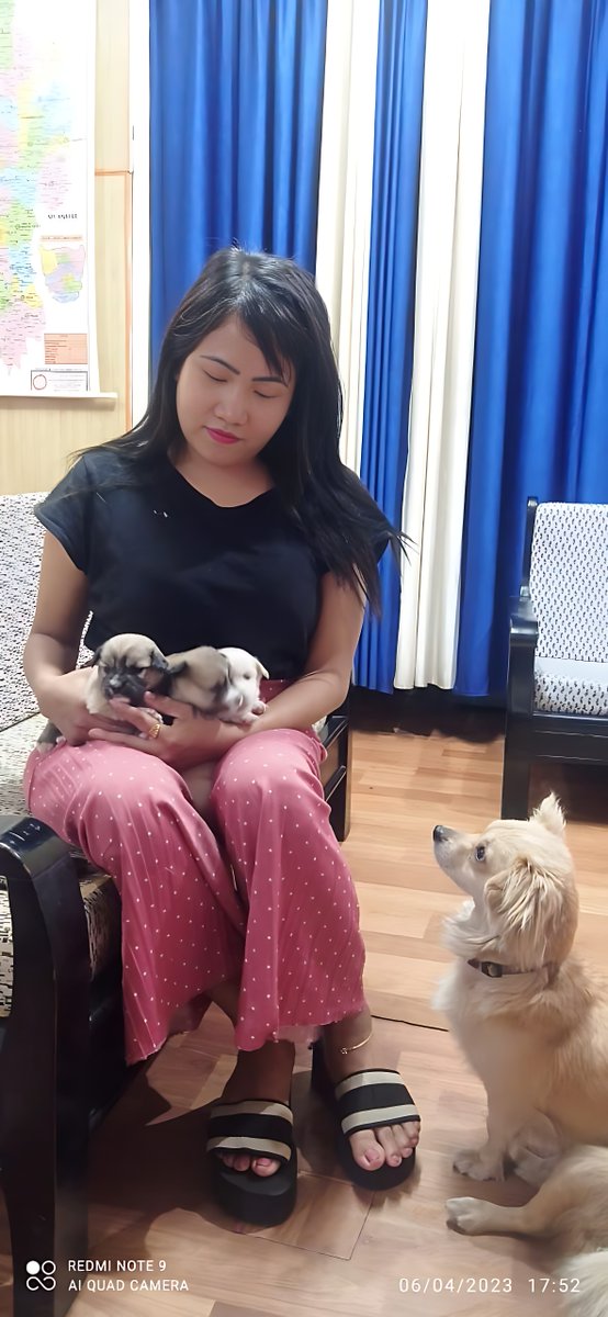 MsRohlupuii's tweet photo. I'm with my daughter Bawii and three adorable grandchildren. Please suggest names for my puppies. 🐶🐶🐶 https://t.co/ikkL2Vgmez