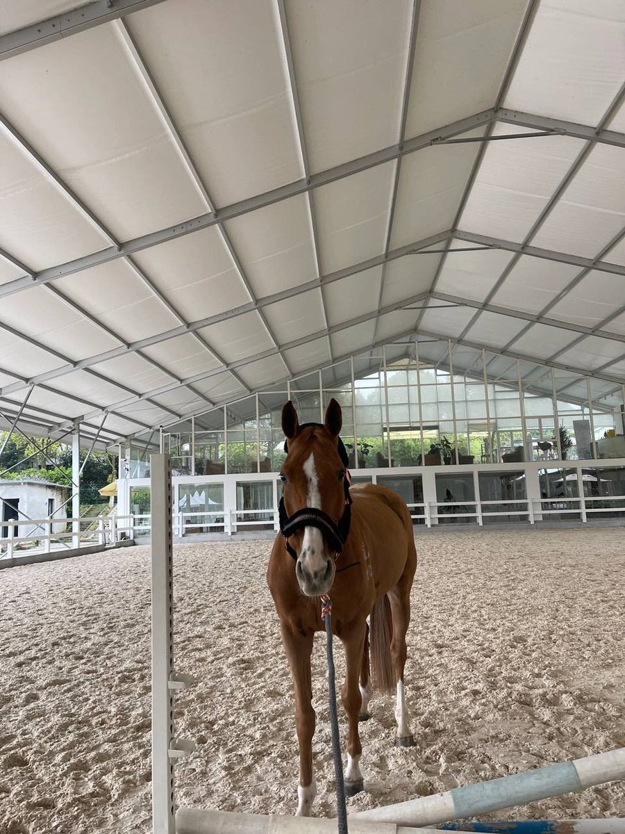 Let me be a princess once!