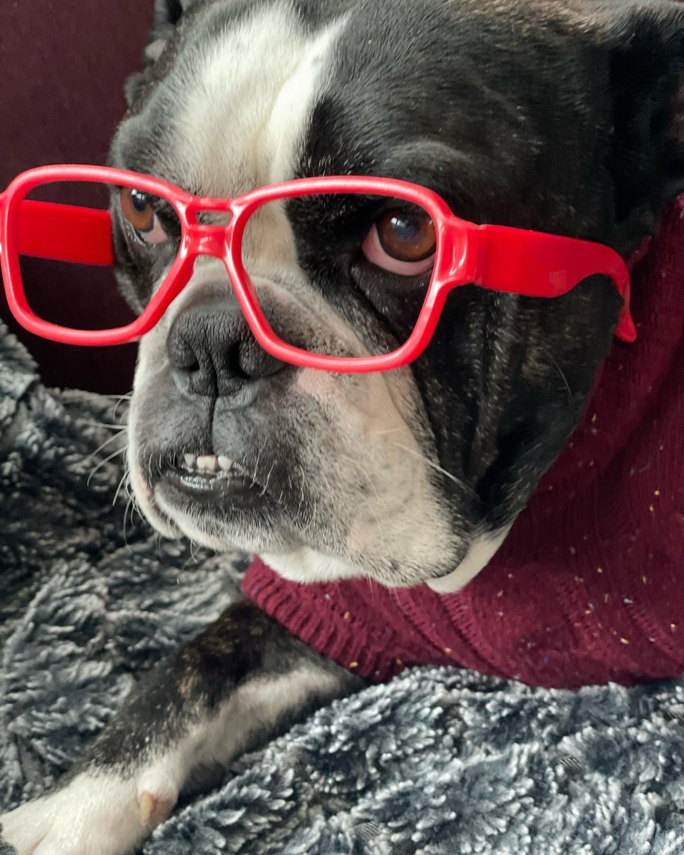 George Tita tweet media