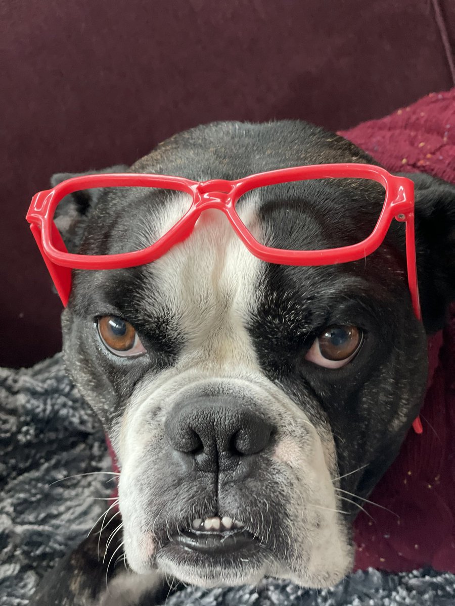 George Tita tweet media