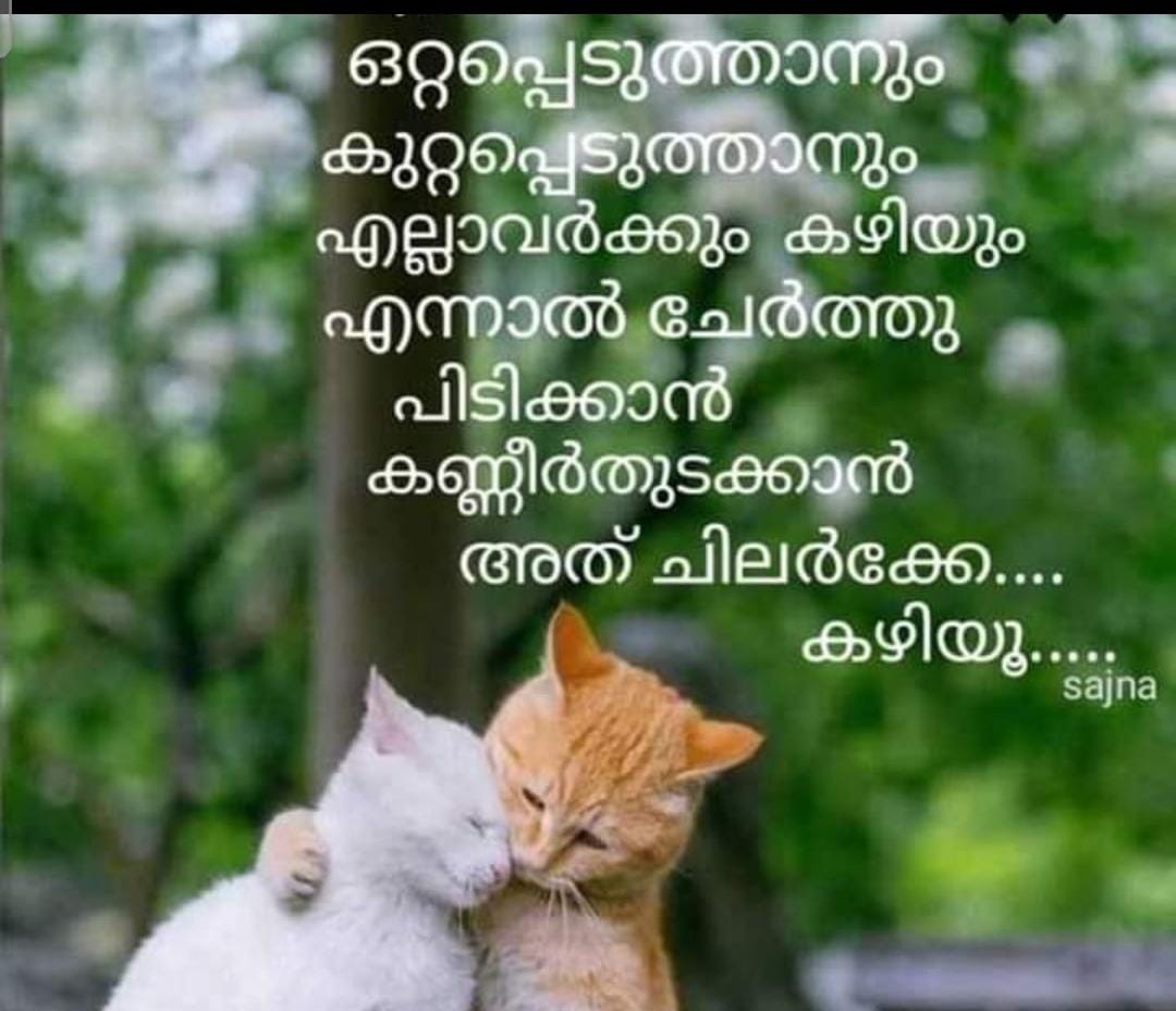 Good Morning Twitter...💗
