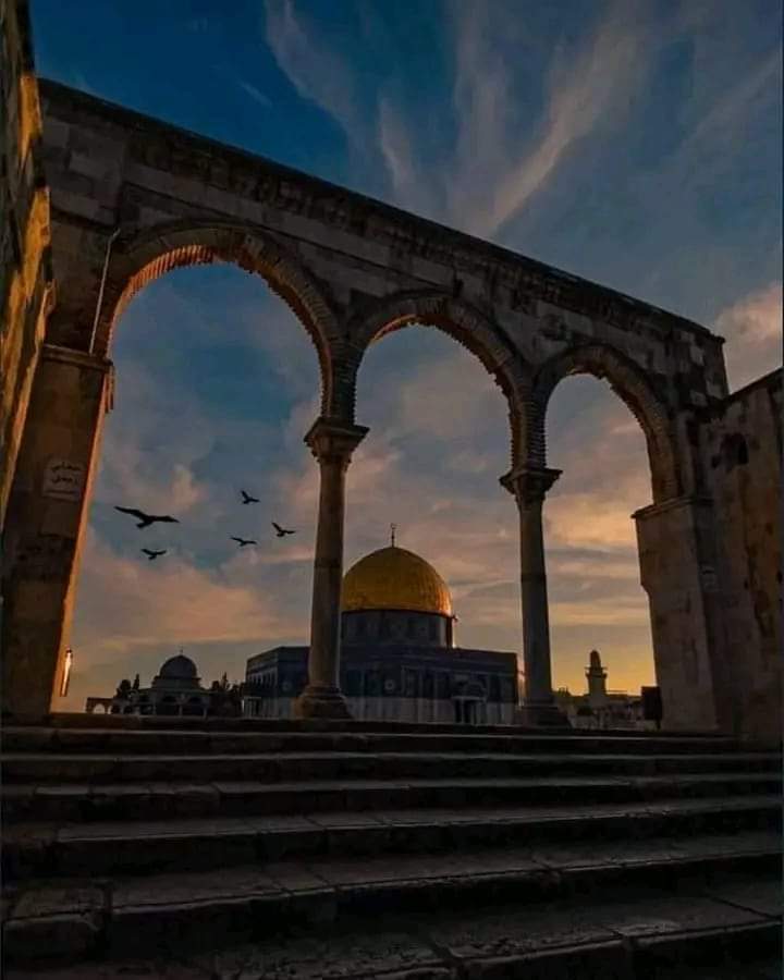 Imdadi Samaan امدادی سامان tweet media