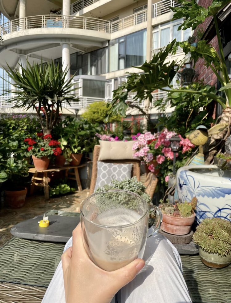 Popo's little garden