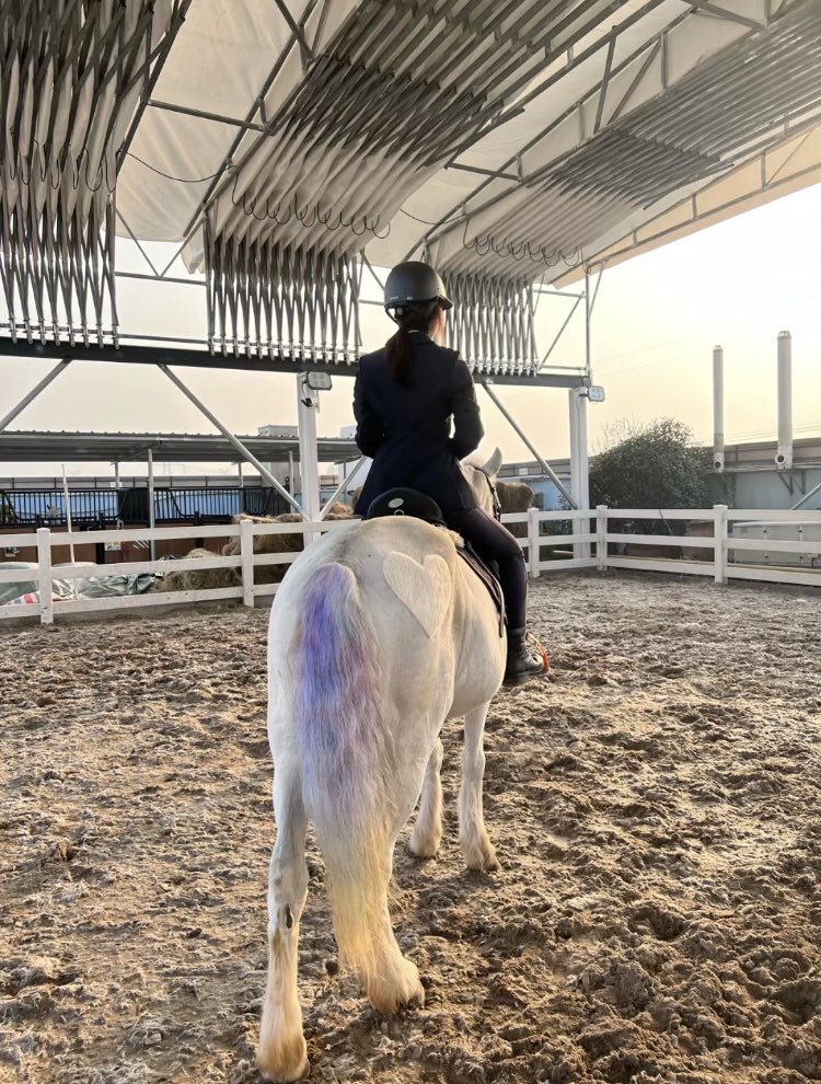 White horse with rainbow tail