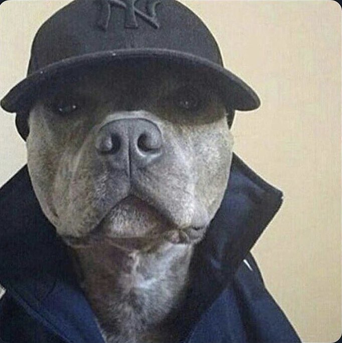 <a href="/uncensoredpromo/">Viral Uncensored Tv</a> Sorry everyone, I walked out wearing my fit today.