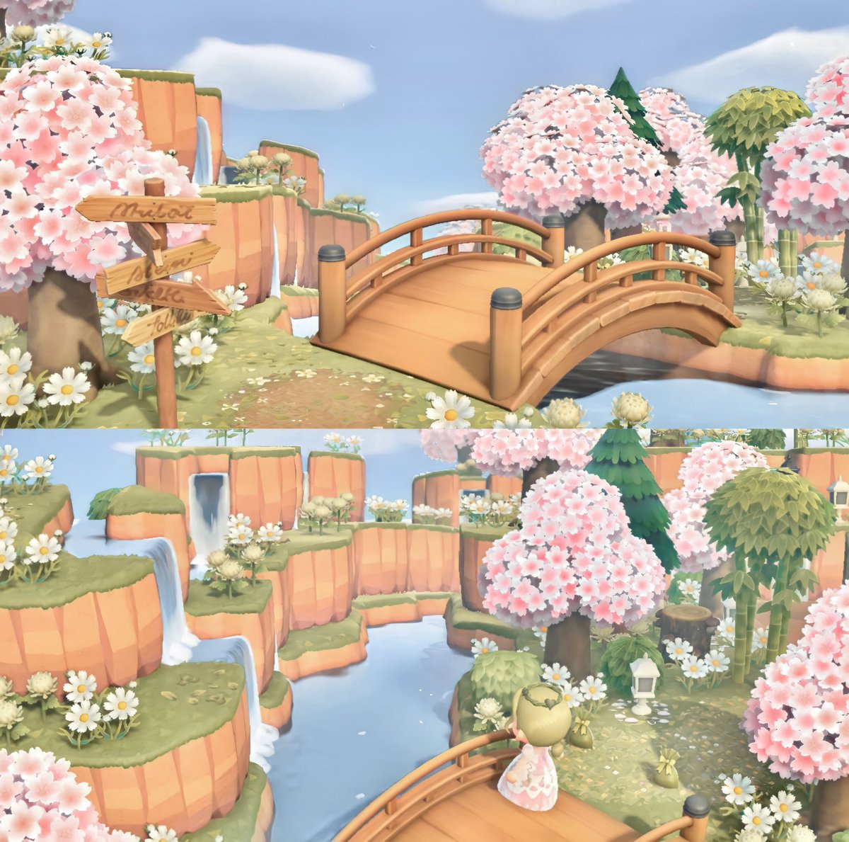 Chloe Plays On Twitter Cherry Blossom Season Appreciation Post chloe-plays-on-twitter-cherry-blossom-season-appreciation-post