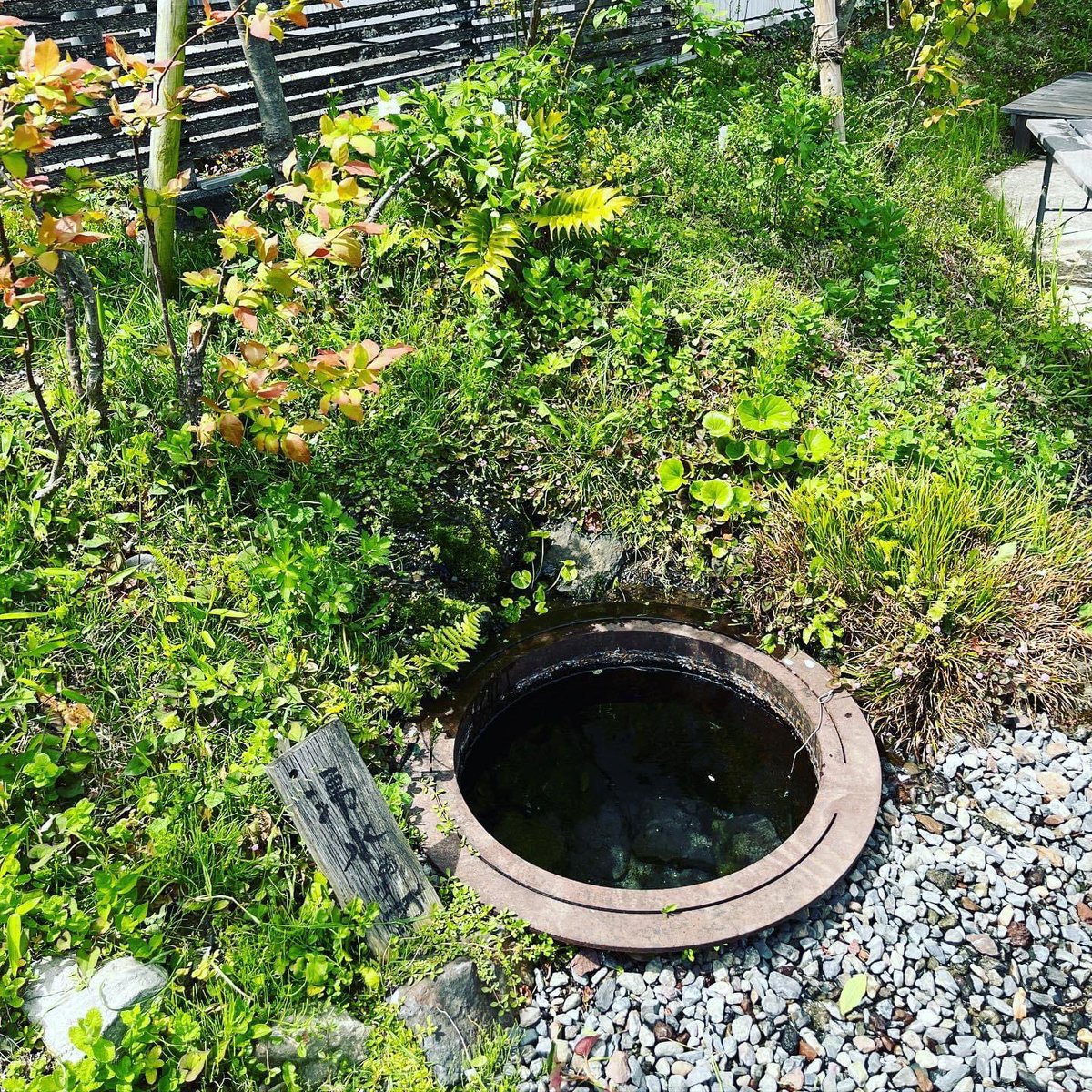 春の訪れと共にラボの湧水周りも賑やかになってきました。
コーヒーと共に良い週末をお過ごしください。COFFEE&amp;CO.