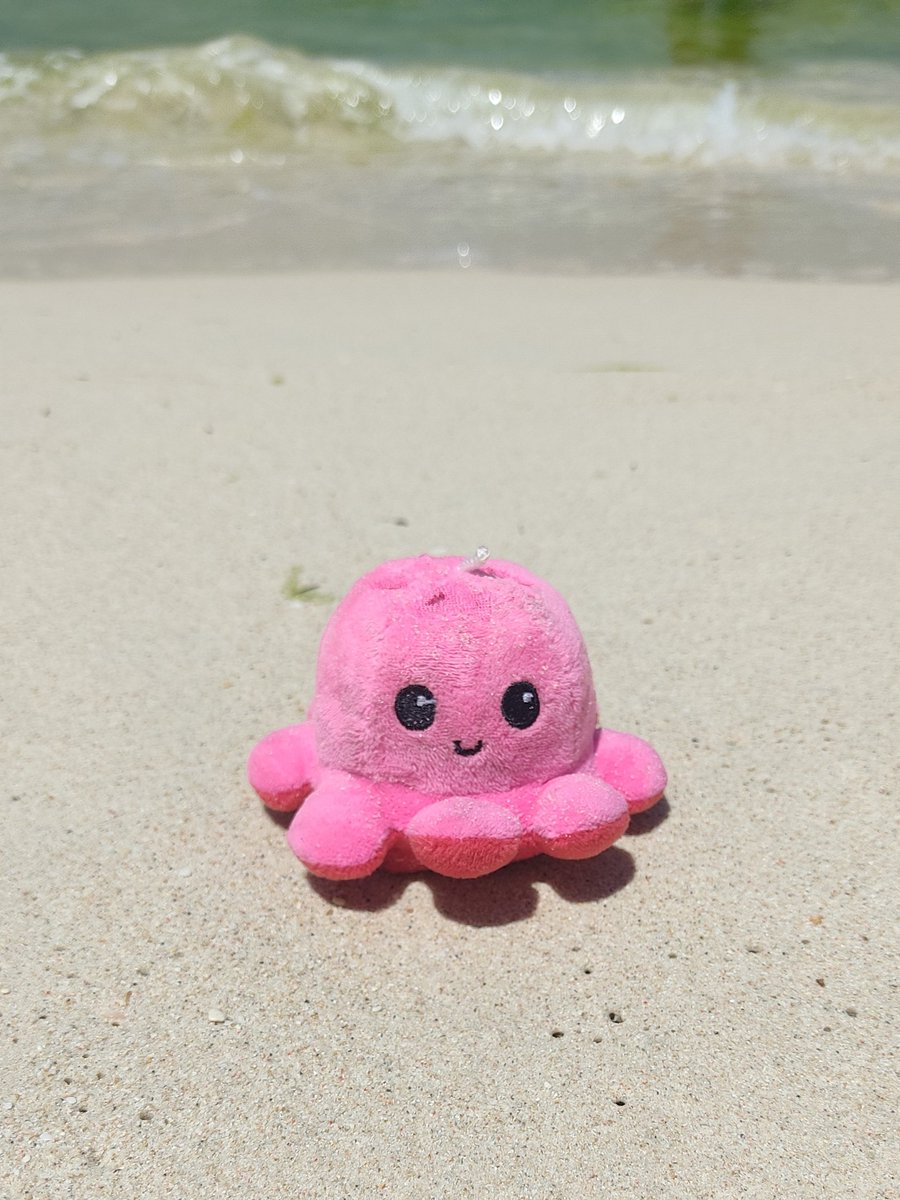IM_HUHRUBY's tweet photo. It's just been the best for this trip. Remember to stay hydrated, it's hot these days. 😘☀️

Enjoy your day Cerise! 🩷🫶

#HUHRUBY #PINK_RUBY https://t.co/SHvWh9jHFf