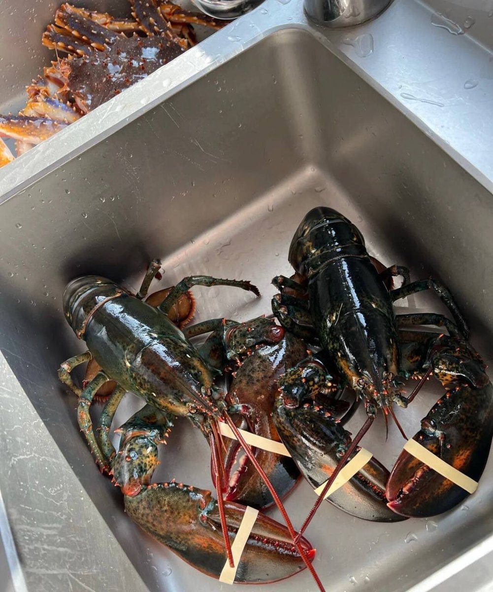 Today is a seafood dinner.