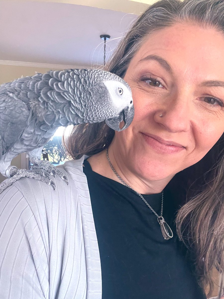 Gandalf the Grey says GN!

#GN
#GandalftheGrey
#AfricanGrey
#CompanionBird