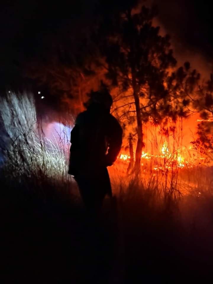 InstBomberos's tweet photo. Instituto de Bomberos del Estado de Chiapas atiende incendio forestal
Elementos del Heroico Cuerpo de Bomberos de La Trinitaria combatieron un incendio forestal registrado en la carretera Panamericana en el tramo La Trinitaria Chamic entre los km 201 y 208. https://t.co/VJR38QK1fT