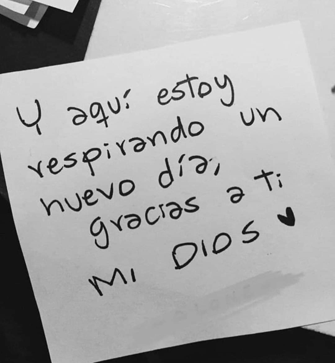 lasnotasdedios's tweet photo. Gracias Dios porque sin merecerlo me has regalado un día más de vida.
#notasdeDios https://t.co/NWPwlDPIx0