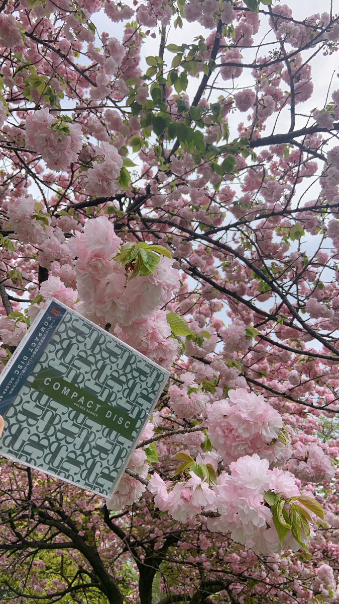 s_honamin's tweet image. 今更だけど手に入れた #compactdisk