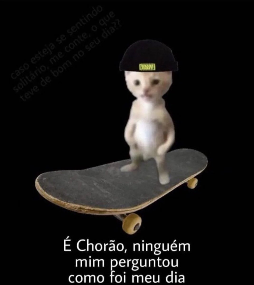 shitpostverdade's tweet photo. https://t.co/Ss9MCAsKQG