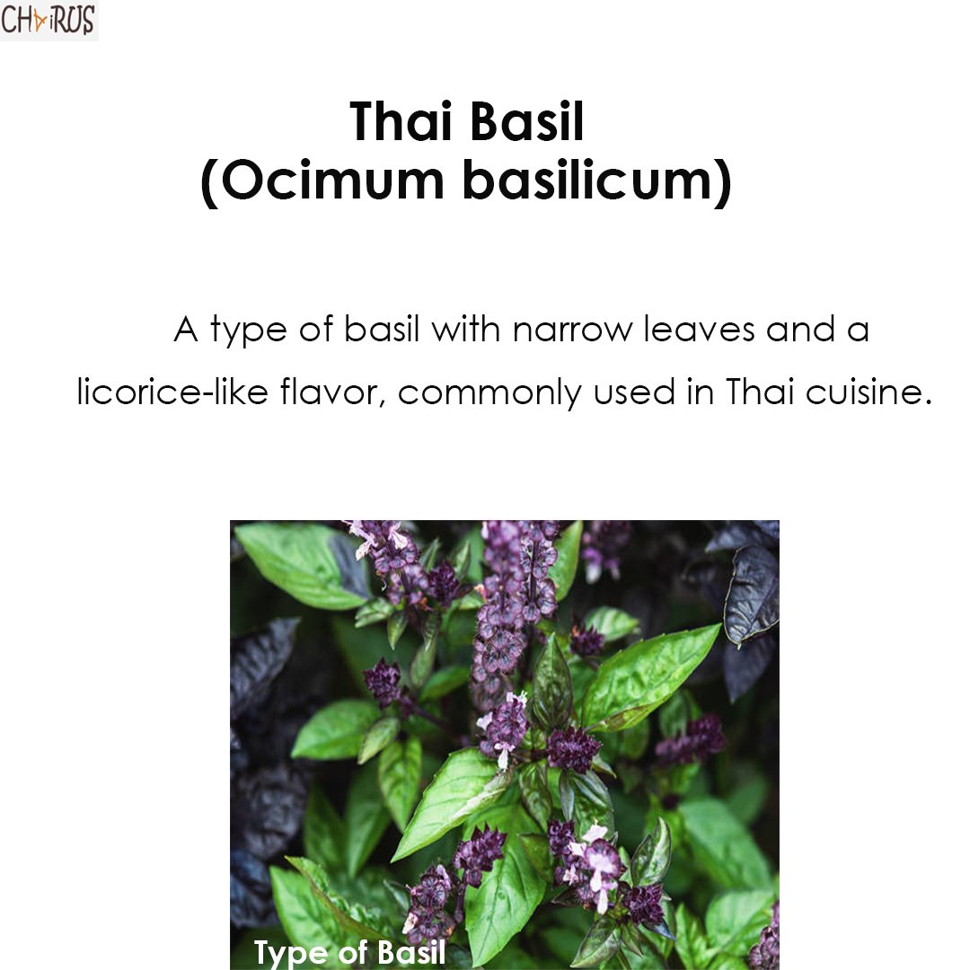tweChairus's tweet photo. Research shows that Thai Basil is high in antioxidants, anti-cancer, anti-viral, anti-bacterial, and anti-fungal properties.
#thaibasil #tea #saturday #herbal #organic #basillove #weekend
#freshbasil
#basillicious
#basilobsessed
#basilicata
#basilplant
#basilpesto https://t.co/X0ke1wWQeS