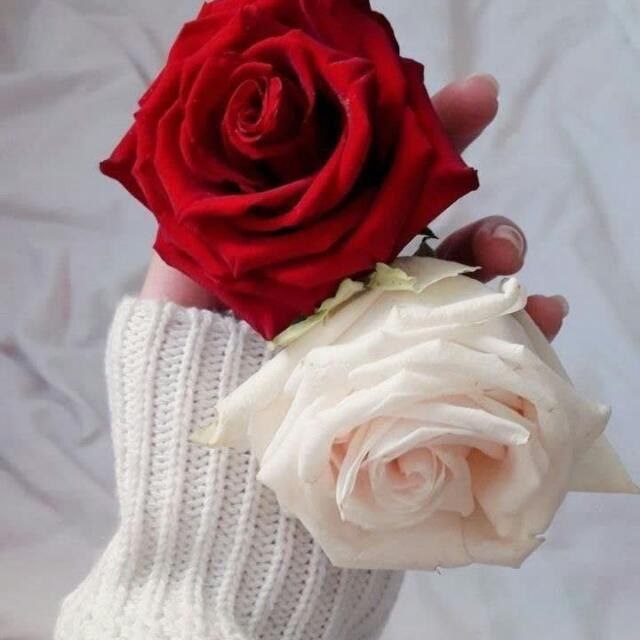 صباحُ الخيّر للبُسطاء الذِين تُسعدهم أبسّط الأشياء ♥️".