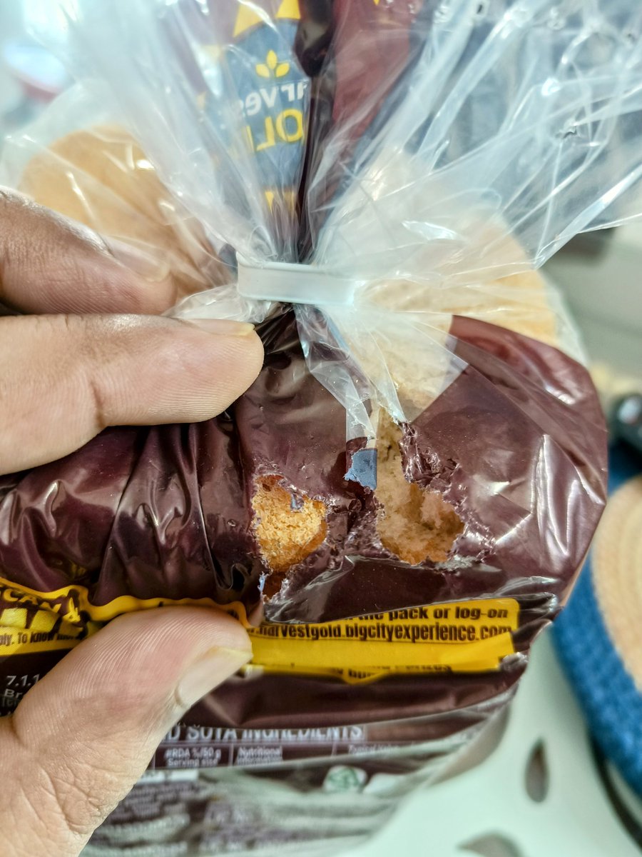 gangwar_91's tweet photo. @Milkbasketin @yatish14 Are you even validating the items before delivery? The bread which got delivered to us this morning has been bitten by a rodent it seems. I hope you understand the seriousness of the issue reported. https://t.co/5Idh4ZllWp