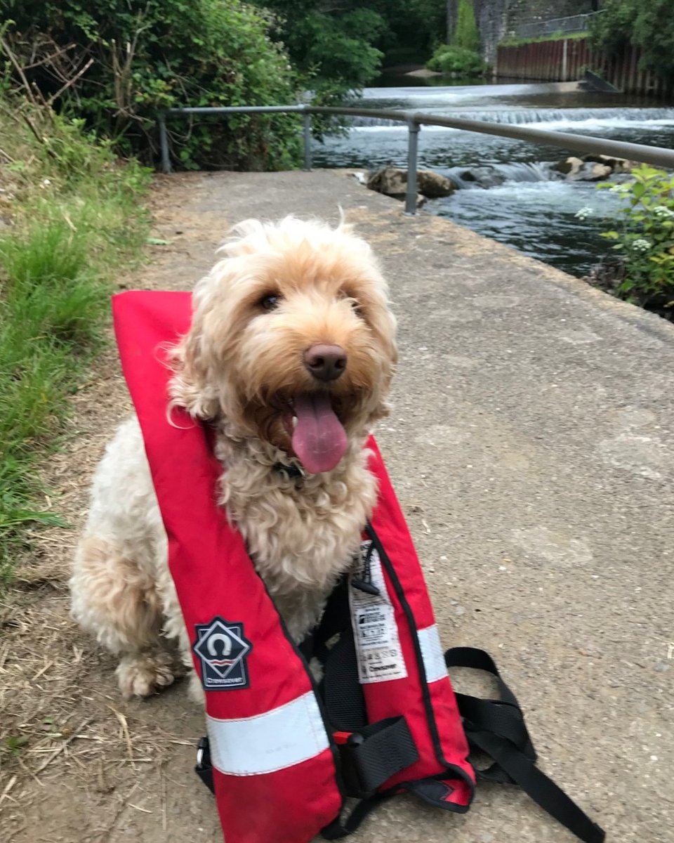 SWFireandRescue's tweet photo. 🌊 The water may look inviting but even on a warm day the water will be cold. 

🏊‍♂️ It doesn’t matter if you are a strong swimmer.

❄️ Jumping into the water to cool off can lead to cold water shock, which can result in drowning.

#BeWaterAware https://t.co/2EKo5BbIq1