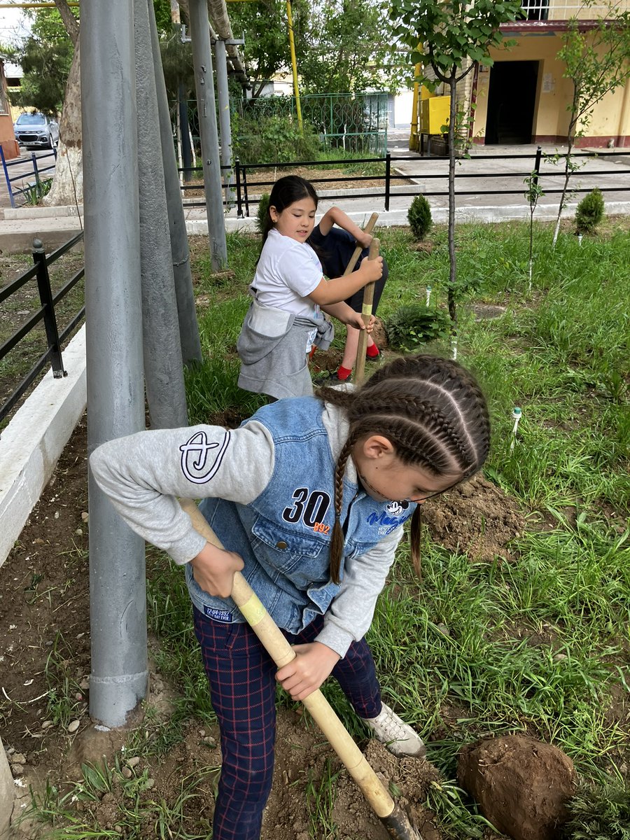 Owl-ways trying to make a positive difference. Elementary school council and secondary greener tomorrow making connections with the local mahala and planting trees #makingapositivedifference #studentleaders #tashschool
