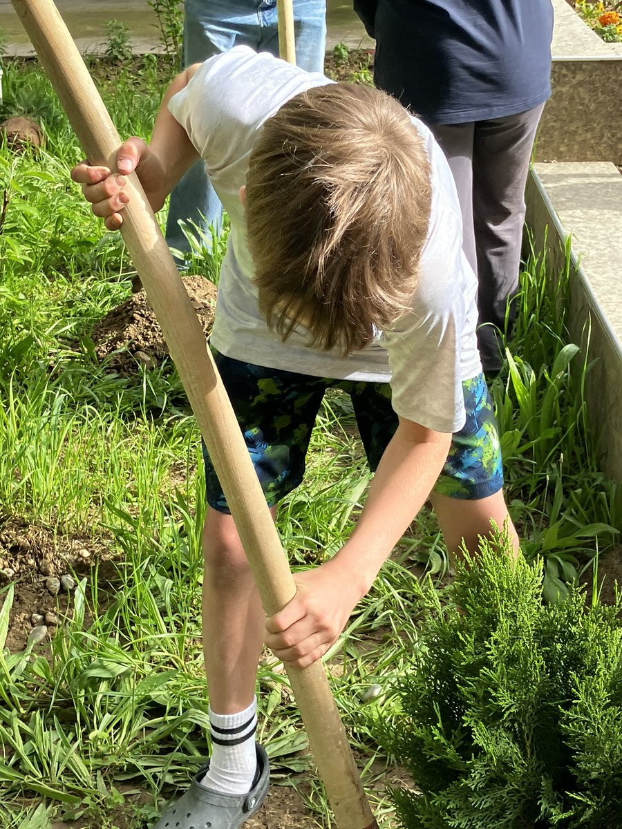tamsinttate's tweet image. Owl-ways trying to make a positive difference. Elementary school council and secondary greener tomorrow making connections with the local mahala and planting trees #makingapositivedifference #studentleaders #tashschool