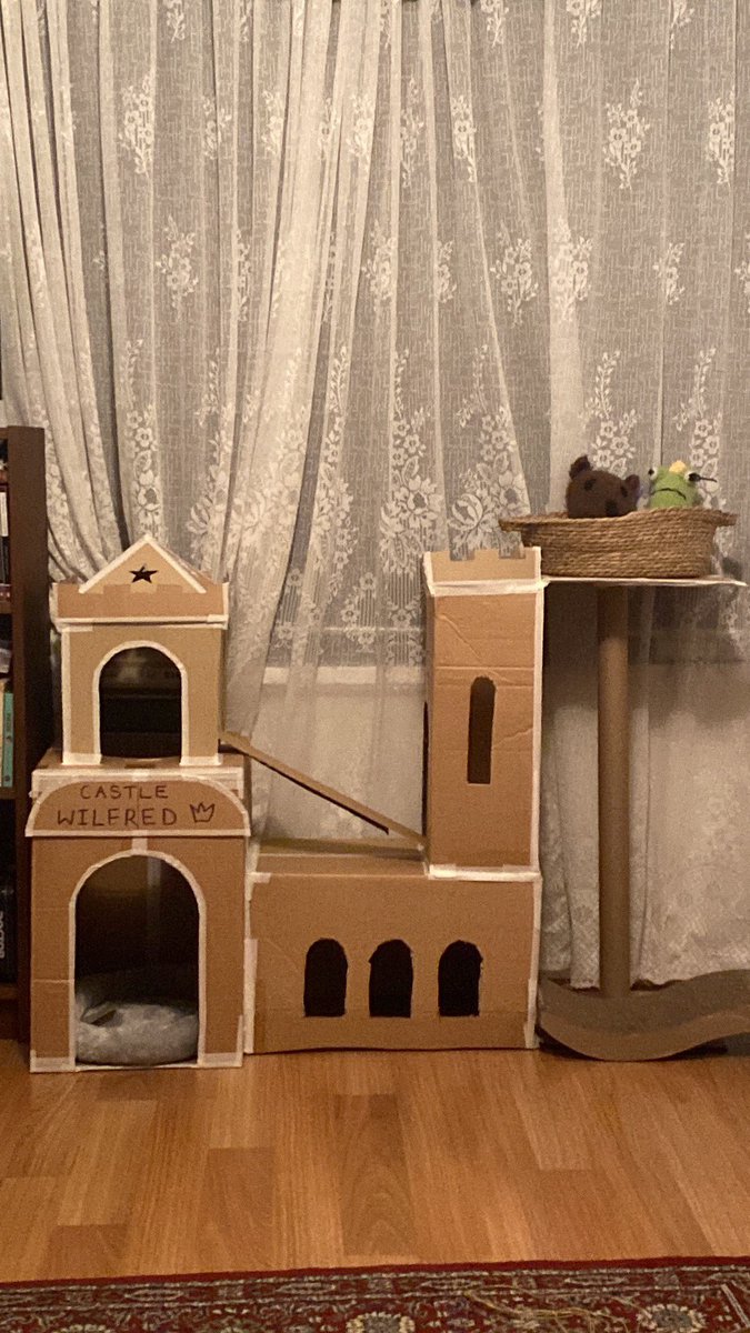 It appears I’ve become the type of person who spends her long weekend making this for a cat