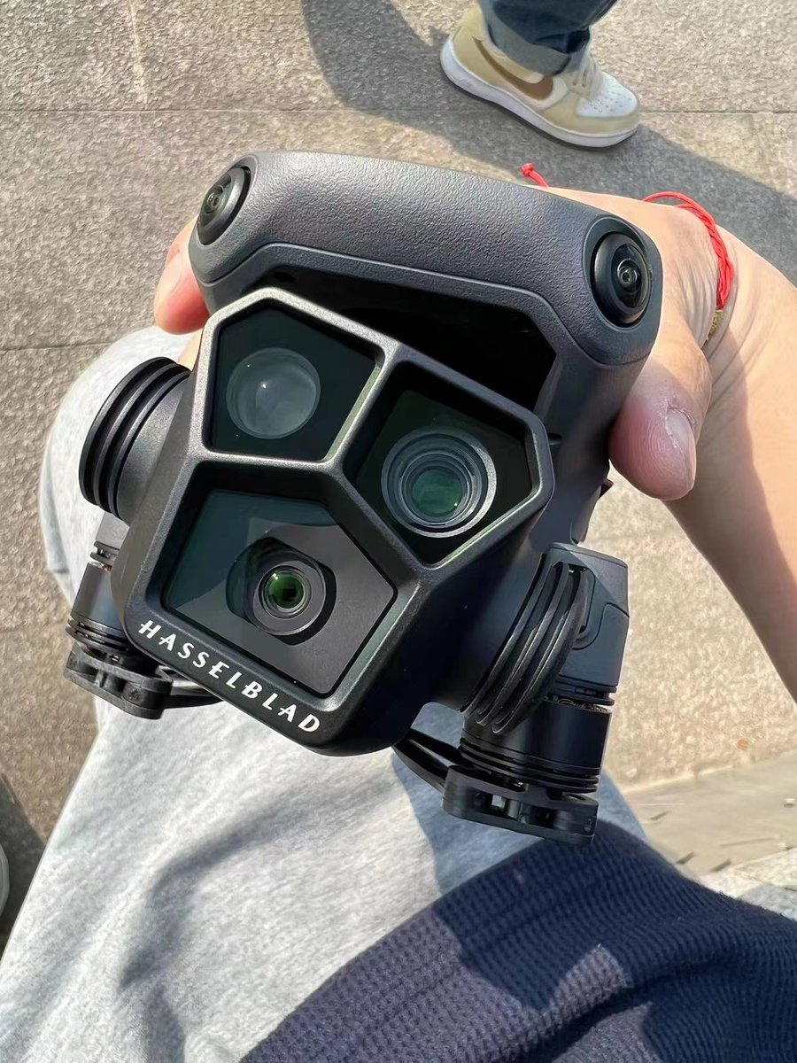 OsitaLV tweet media