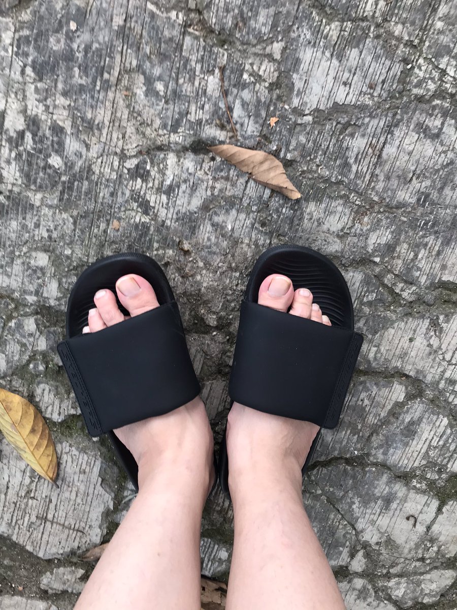 ayu wiryodisastro tweet media