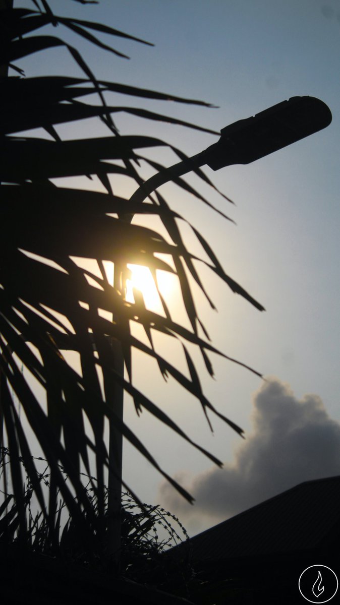 firebrand898's tweet photo. Try to get the best out of every pic you imagine or see.
Today's pic 

📸 by @yongkriss_no1
Taken with @CanonUSApro EOS REBEL T6 
Edited with @Photoshop

#firebrand
#sun #nature #creativity https://t.co/qaCwyabJ7h