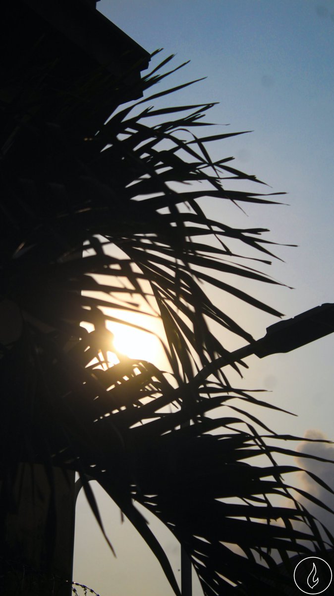 firebrand898's tweet photo. Try to get the best out of every pic you imagine or see.
Today's pic 

📸 by @yongkriss_no1
Taken with @CanonUSApro EOS REBEL T6 
Edited with @Photoshop

#firebrand
#sun #nature #creativity https://t.co/qaCwyabJ7h