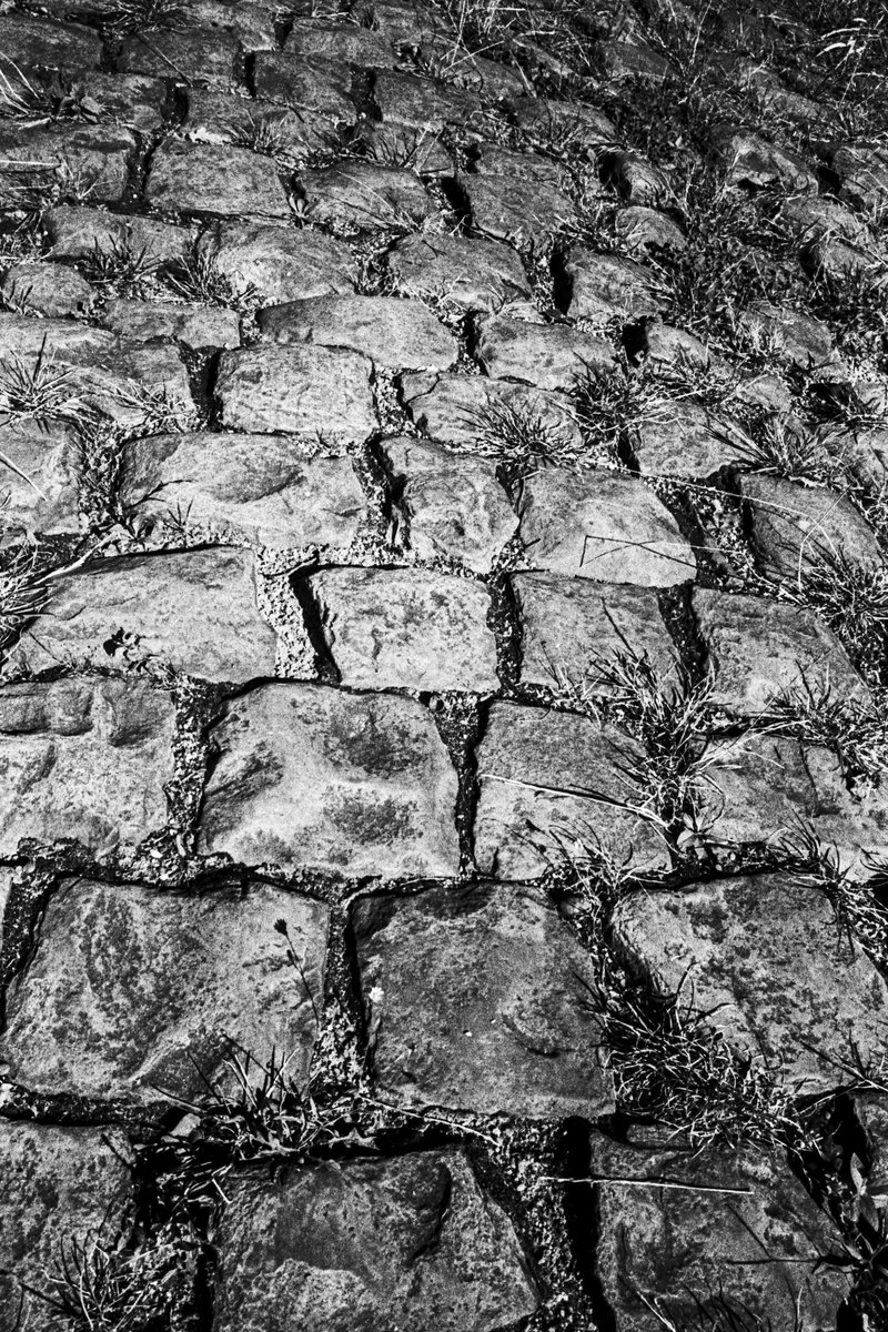 If you can believe it, its Paris-Roubaix weekend once again. It’s cobbling time! 
August 2022, Ricoh GR1v, Ilford HP5