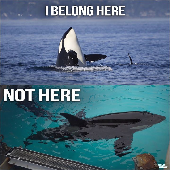 Herzbluut's tweet photo. EMPTY THE TANKS
Herzensangelegenheit ❤️ https://t.co/Eu7YNrPJMC