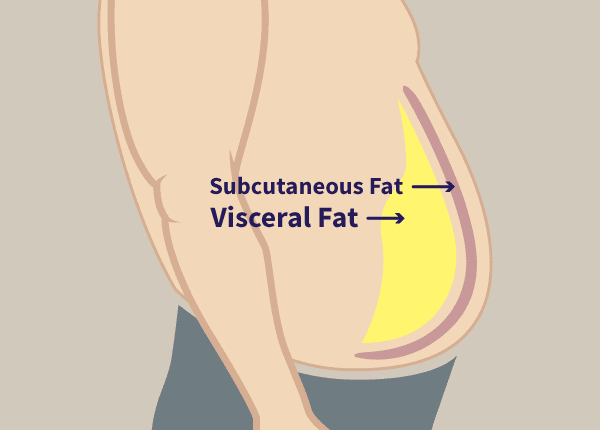 If you can’t lose stubborn belly fat, this is why: