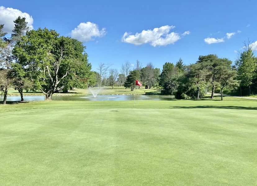 Tee 2 Green tweet media