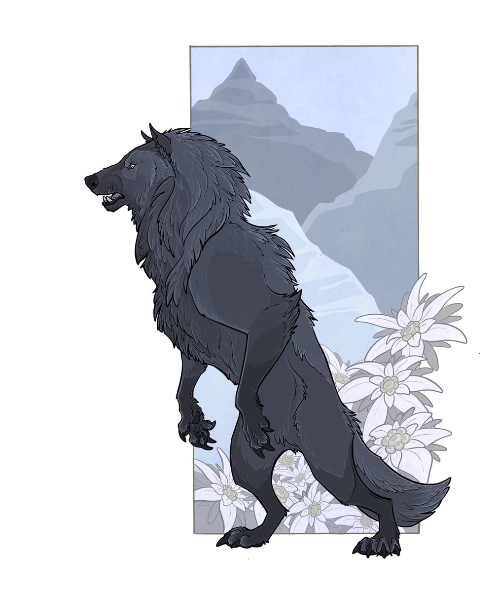 blackteandbones's tweet photo. Finally finished a ref for Veiss’ wolf form! #Werewolf #originalart #originalcharacter https://t.co/kQdcrF46Pa