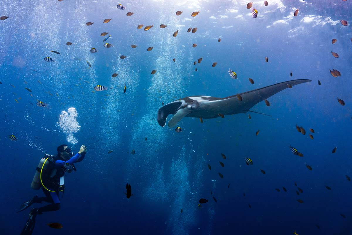 DanThΞMan Photography 📸 tweet media