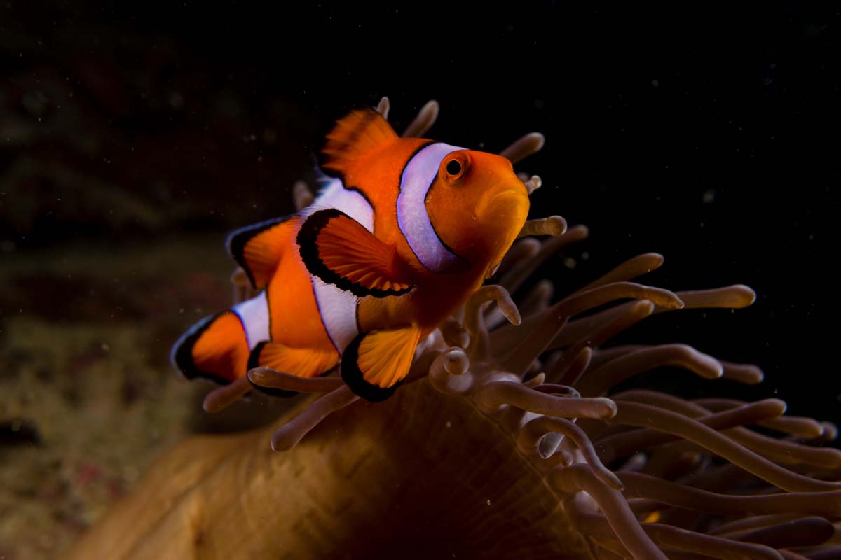 DanThΞMan Photography 📸 tweet media