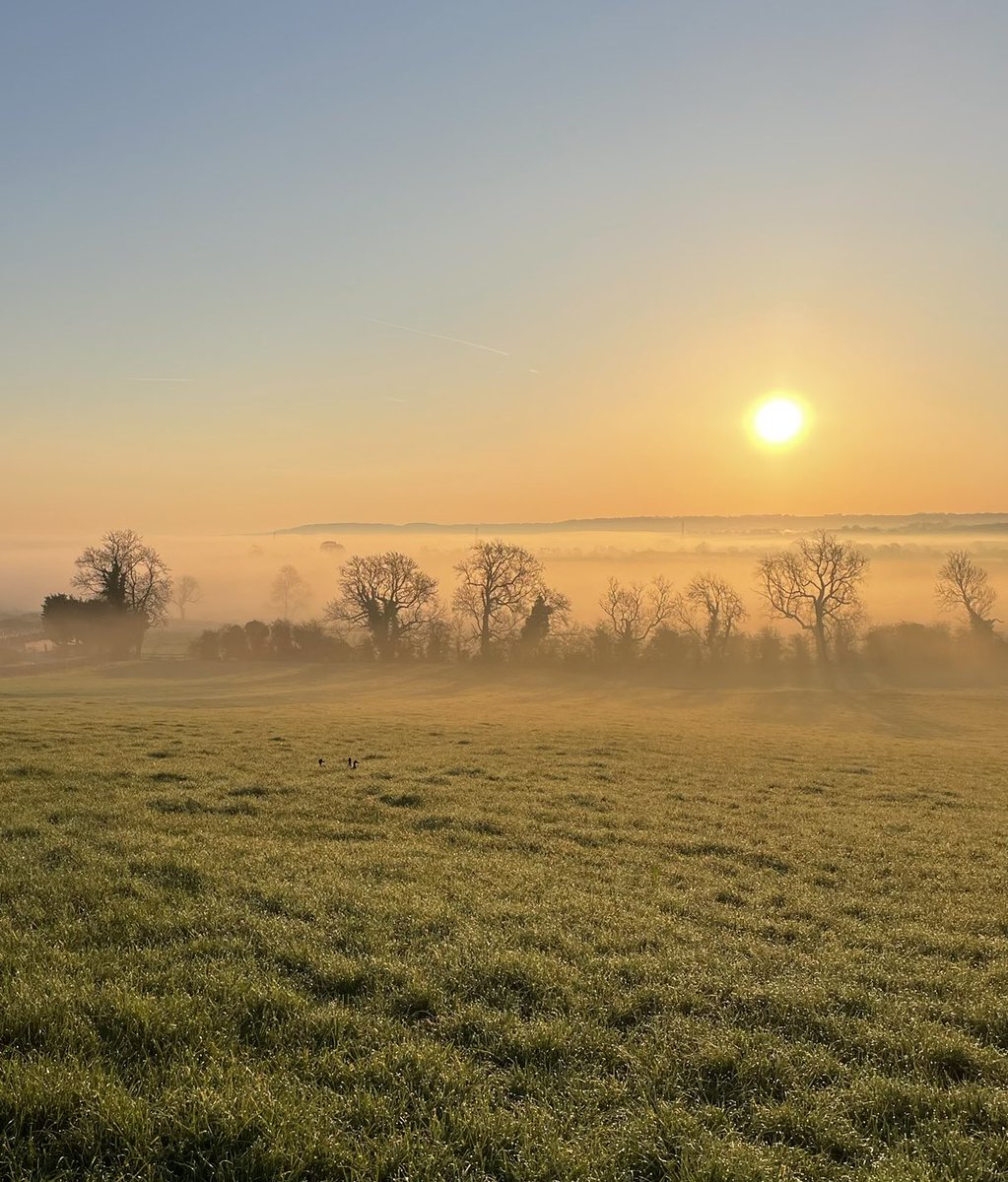 Lee Buttery tweet media