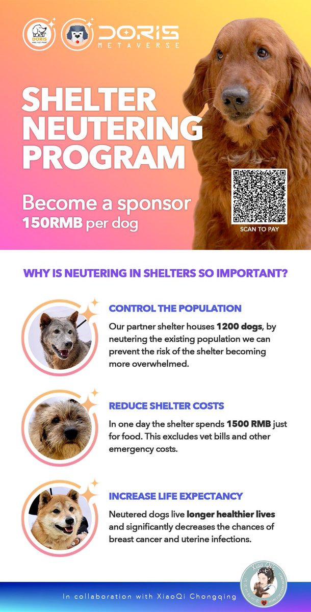 🐾 Doris Was Not Meat 🐾 🐾 🐾 tweet media