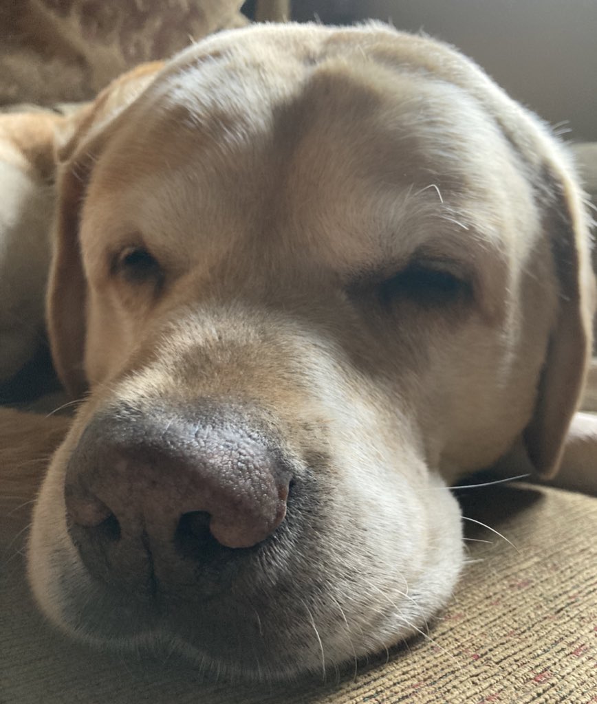 Angel Henry, Olly and Beth tweet media