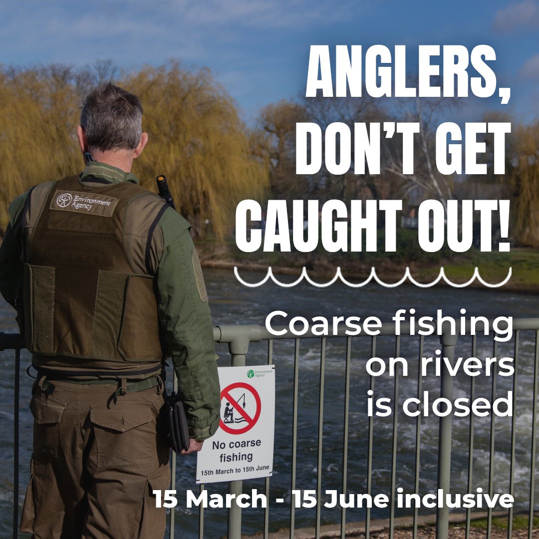 EnvAgencyAnglia's tweet photo. Don't forget it’s Close Season for coarse fishing on rivers ⚠️

This means it's illegal to fish for coarse fish in rivers until 15th June inclusive.

If you spot illegal fishing, you can report this to us on 0800 80 70 60. 

#Angling #Fishing https://t.co/2ASE1F8k5X