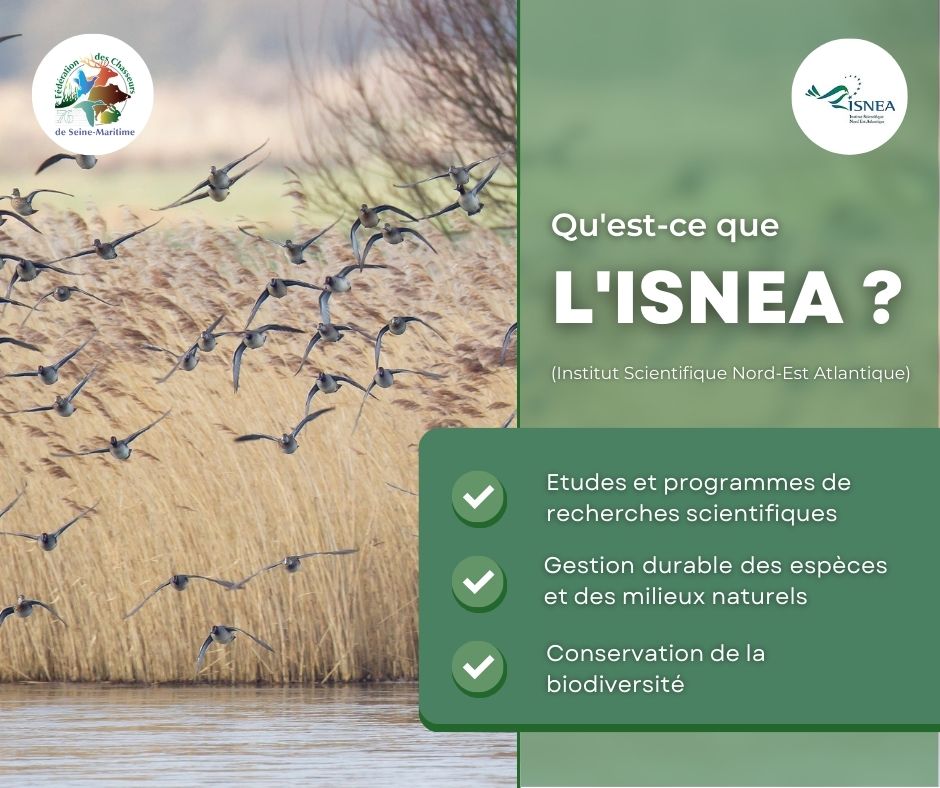 Pourquoi travailler avec l'ISNEA ? 🤔

En étroite collaboration avec l'ISNEA, la FDC76 bénéficie d'une expertise scientifique et de protocoles et méthodes d'étude innovants, pour mieux comprendre l'état de conservation des espèces. 📝

<a href="/ChasseursFrance/">Chasseurs de France</a> <a href="/ISNEA_officiel/">ISNEA</a>