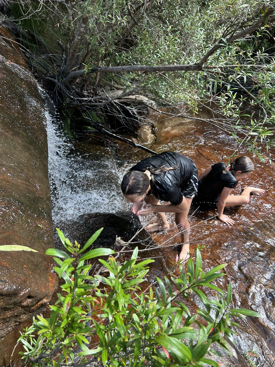 TraderCobb's tweet photo. Took the kids to church today (nature for me) gave our respects to the traditional custodians and set intentions. We found some gold!
I also found my first ever carvings not mapped. Very special day with my kids saying it was the best hike ever.
Get out into nature ❤️ https://t.co/h0jqWIVL0S