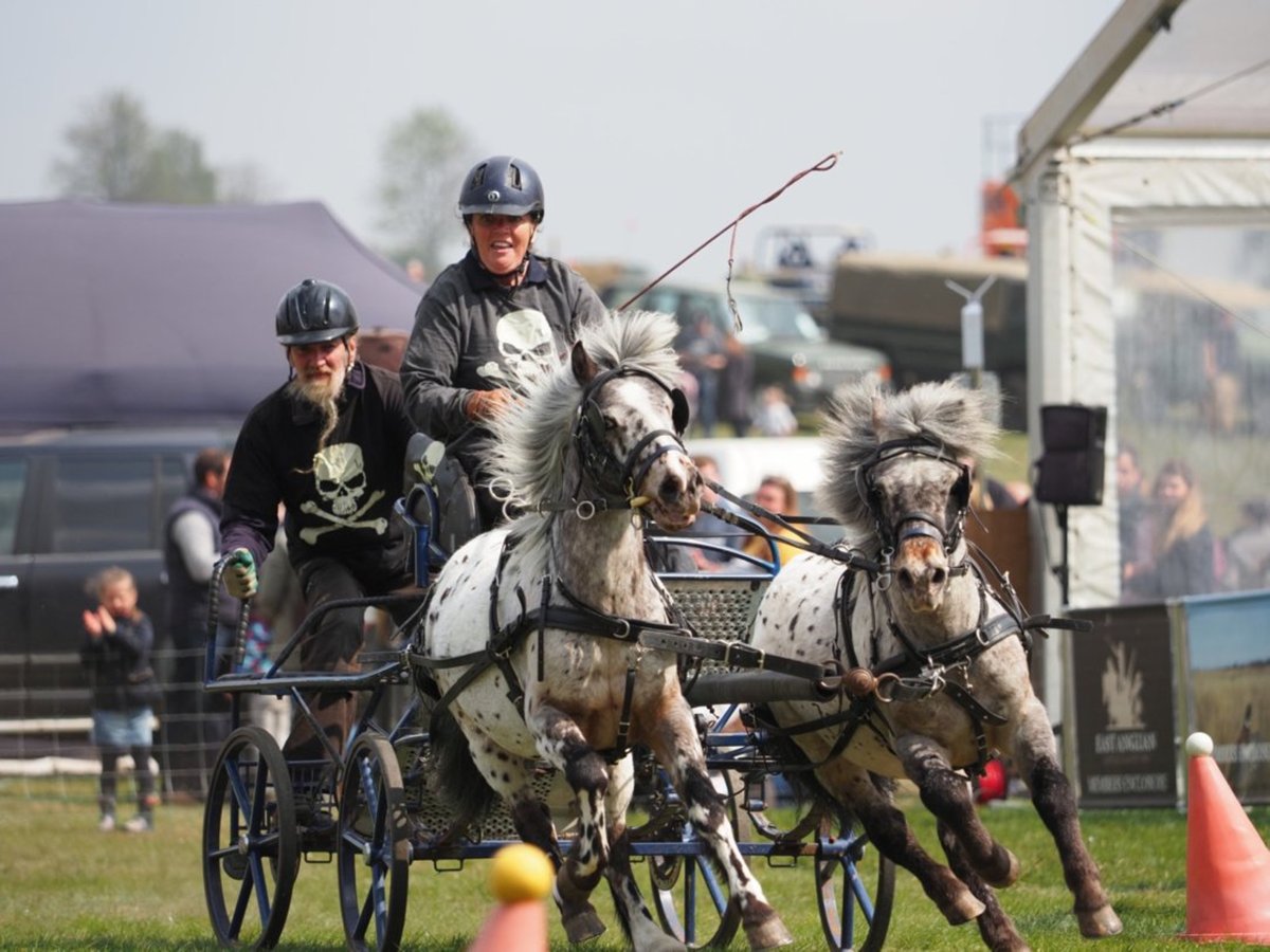 Back by popular demand the exciting, fast and skilful British Scurry &amp; Trials Driving in the Main Arena at this year’s show. 

Watch ponies of all shapes and sizes take on a timed obstacle course made from cones, temporary barriers, flags arches and ramps all against the clock. S