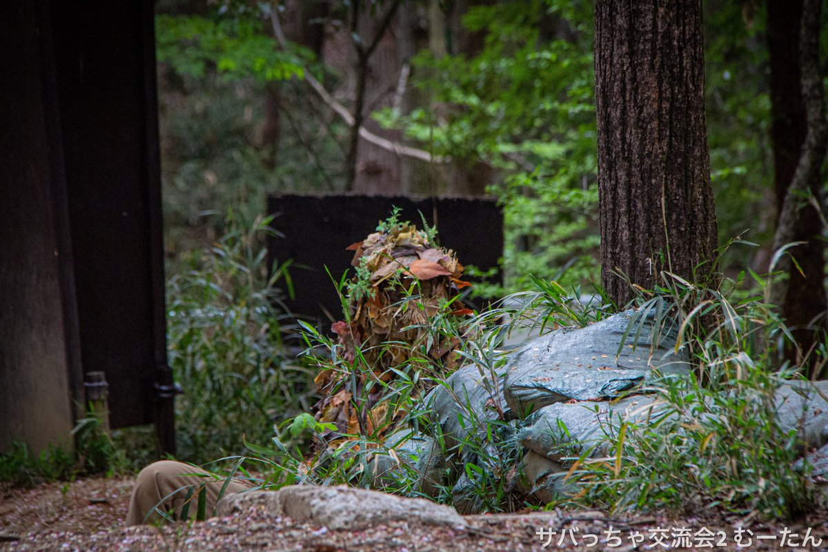 Takuzo_muutan's tweet image. 本日の #サバっちゃ交流会　参加者の皆様、お疲れ様でした🌟

📷本日の写真
photos.app.goo.gl/yinsgBrgKv4ZxN…

📹本日の動画
20時までに投稿予定

写真は参加者のみ自由に活用をお願いします😊
次回は5/13(土)予定！！お待ちしてます😆