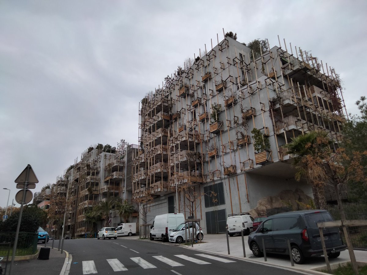 j. bondiorque tweet media