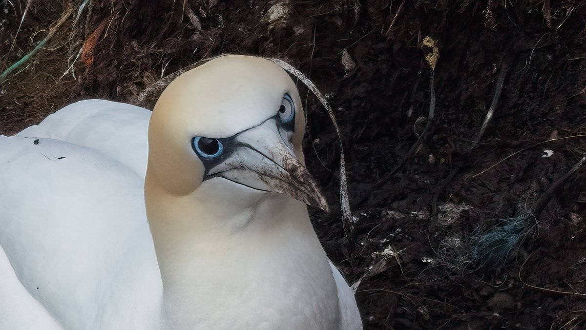 Alex Penn tweet media