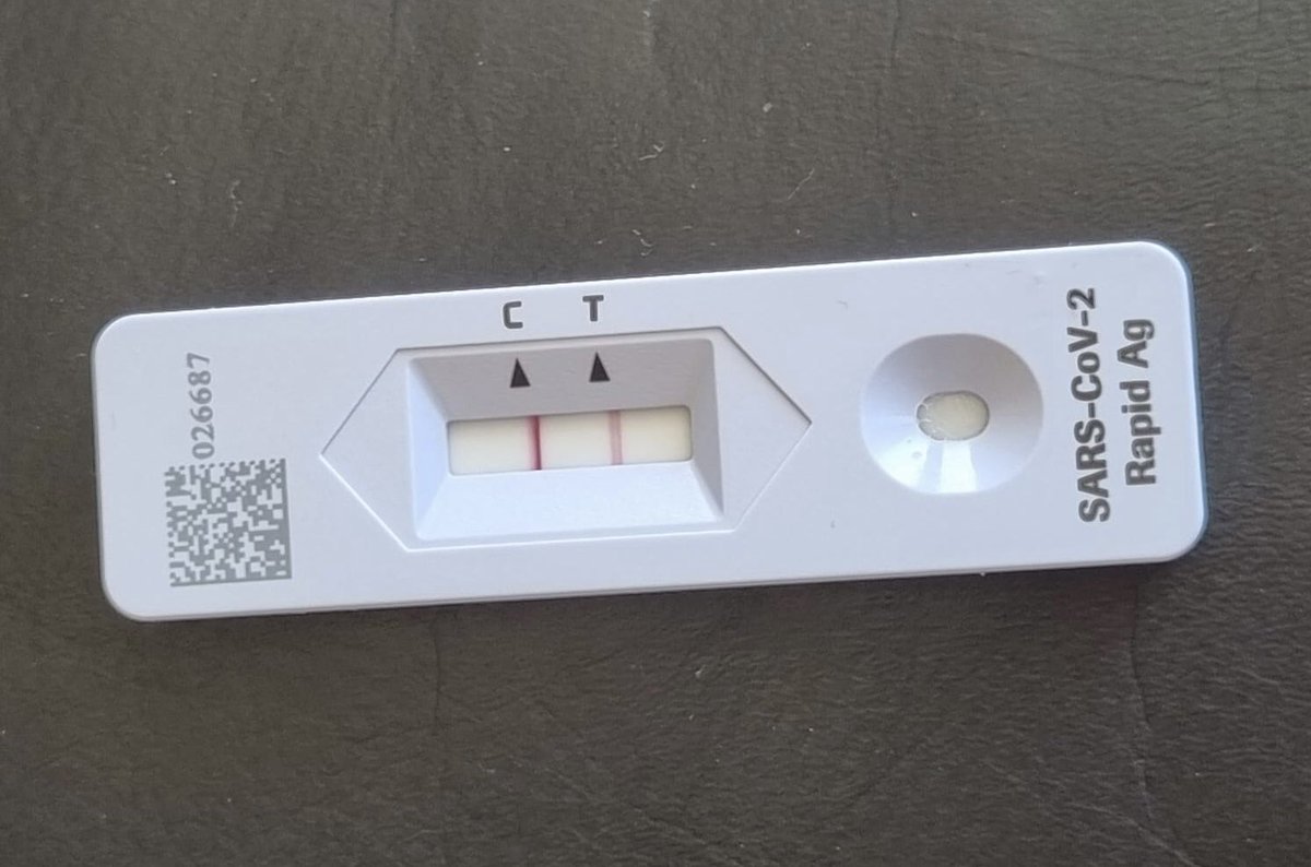 Kat McCarthy tweet media